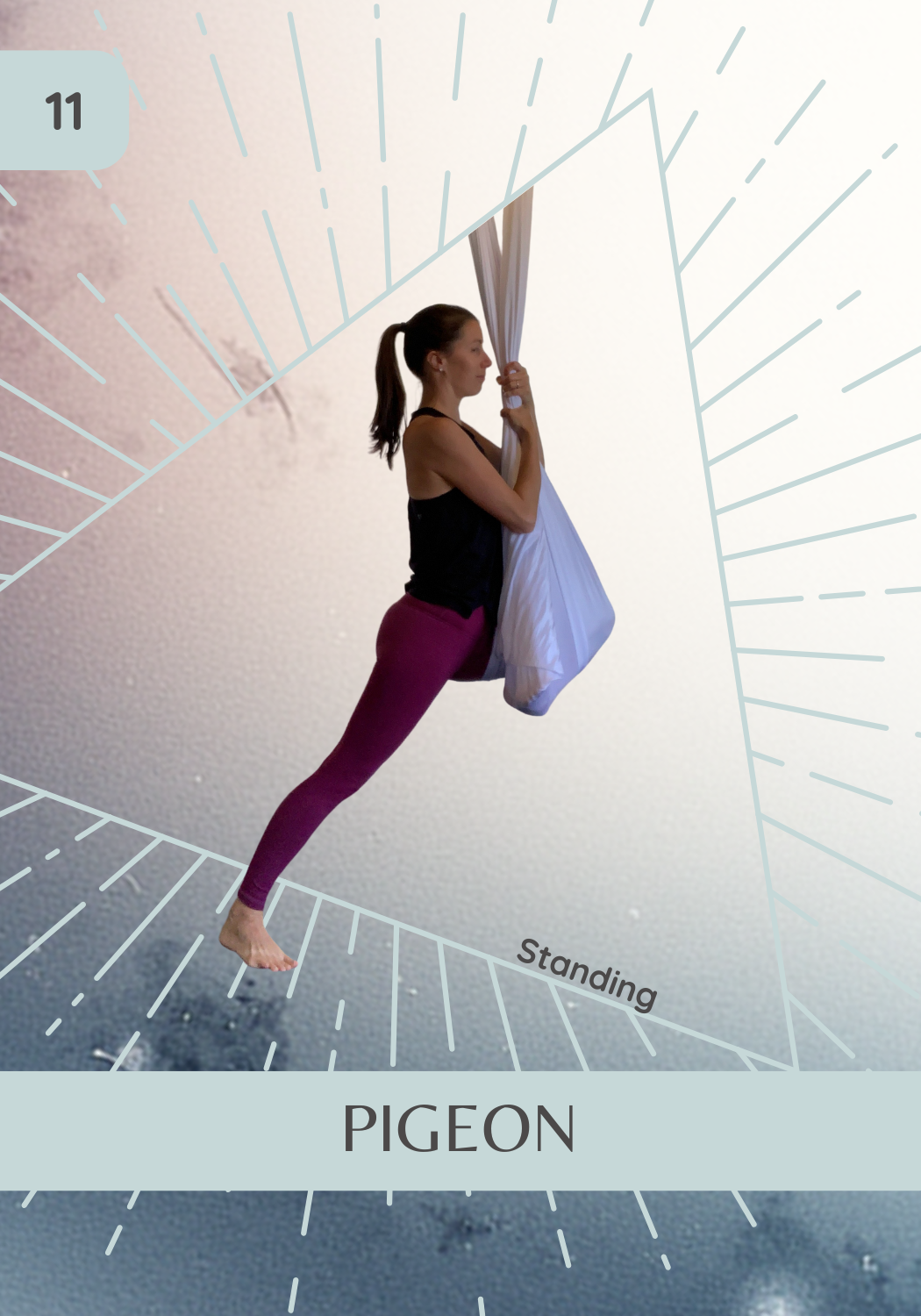 Aerial Yoga Education Tools for Studios & Teacher Training